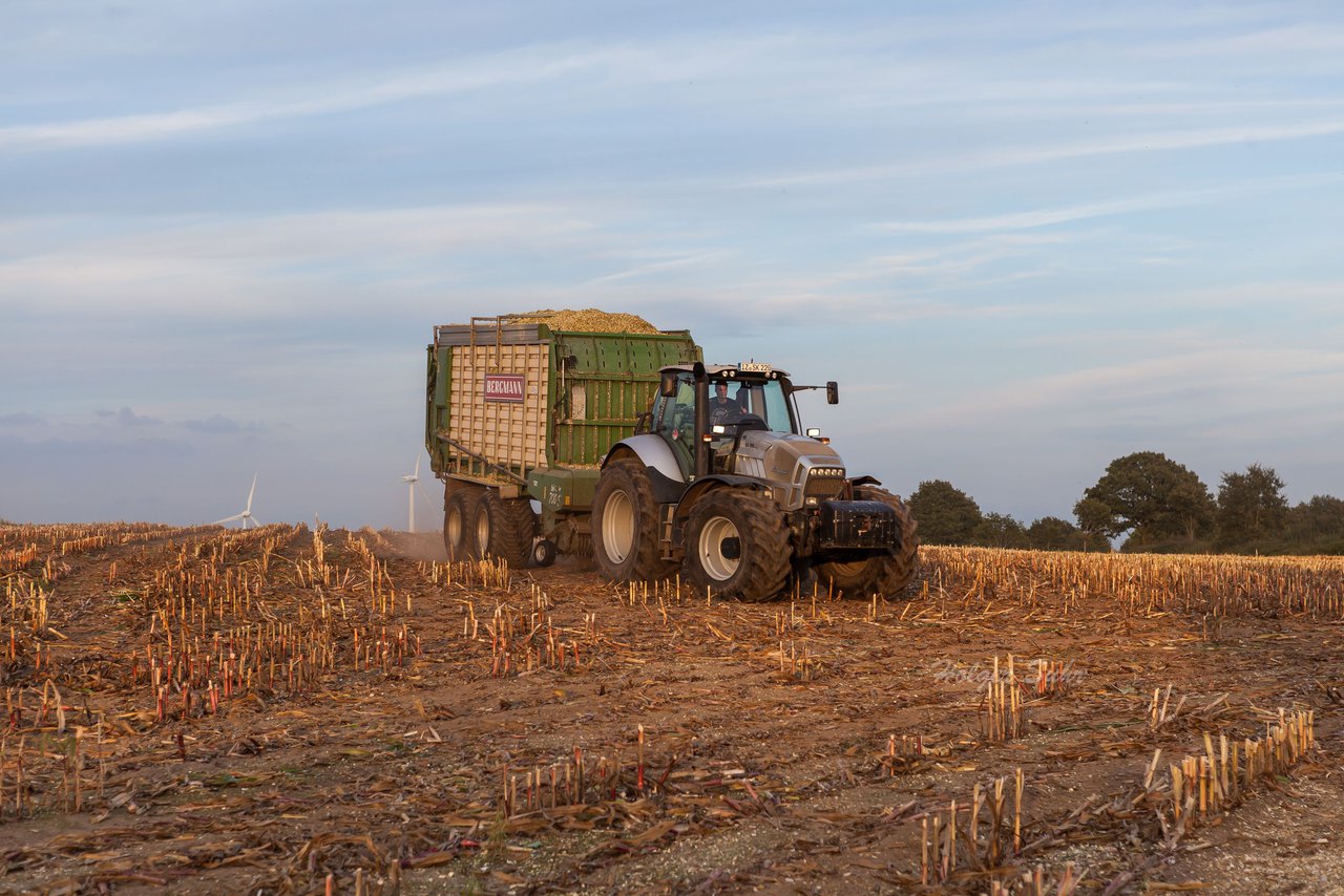 Bild 143 - Maisernte 2016